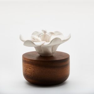 JASMIN D'ORIENT diffuser