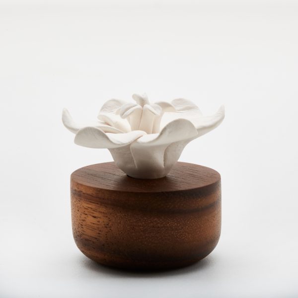 JASMIN D'ORIENT diffuser