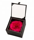 Rose jewelry