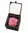 Rose jewelry