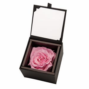 Rose jewelry