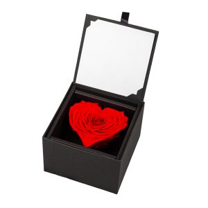 "Eternal Rose" heart