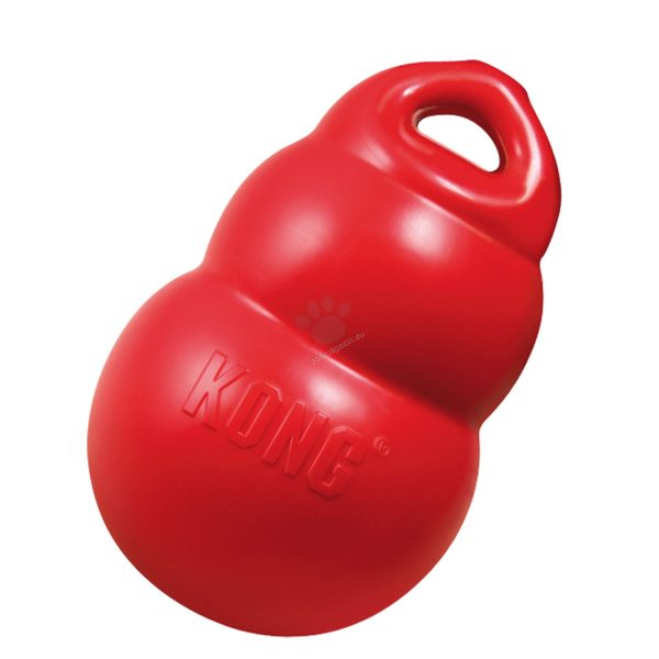 Kong Classic toy