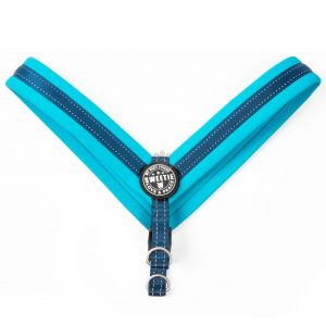 Max & Molly Bib Blue