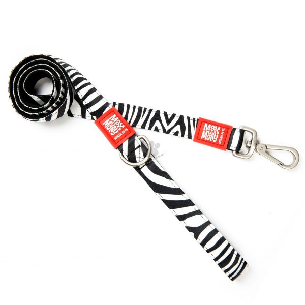 Max & Molly occasion Zebra
