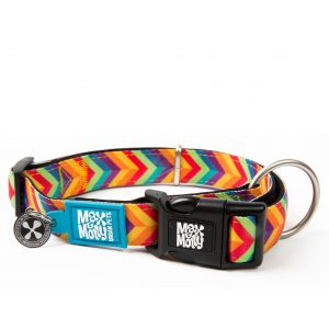 Max & Molly Summertime collar