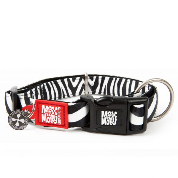 Max & Molly Zebra collar
