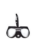 Aviator glasses case