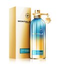 Montale Day Dreams