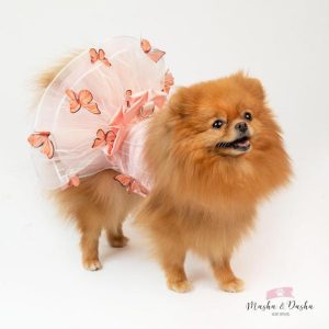 Butterfly dress
