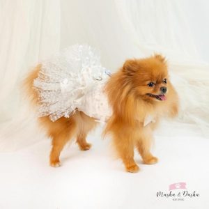 Bridesmaid dress
