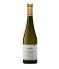 Genese Alvarinho Monção e Melgaço 2024